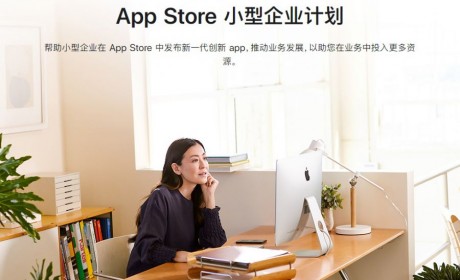 App Store 小型企业计划