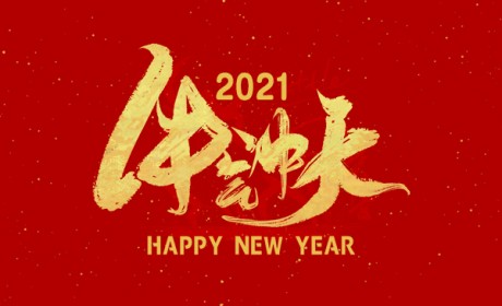 2021 牛气冲天，happy new year！