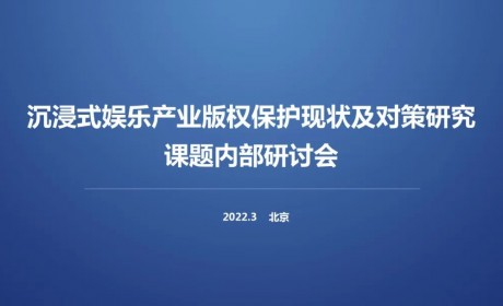 沉浸式娱乐版权保护专项课题研讨会在京召开